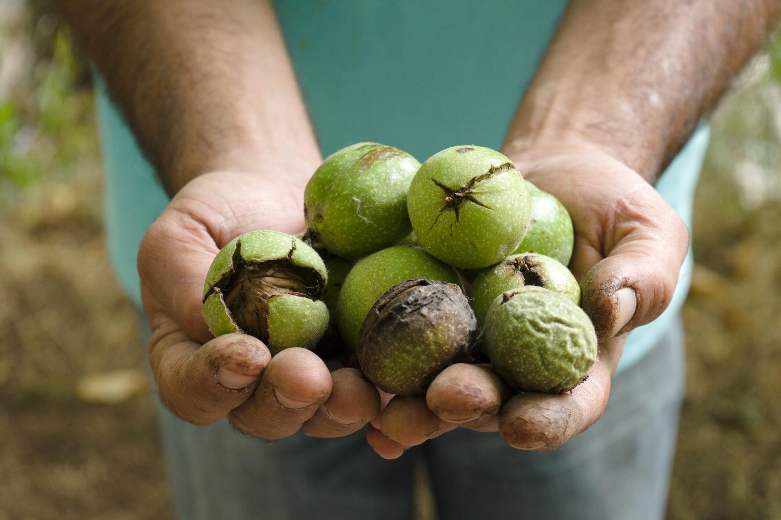 organic solutions